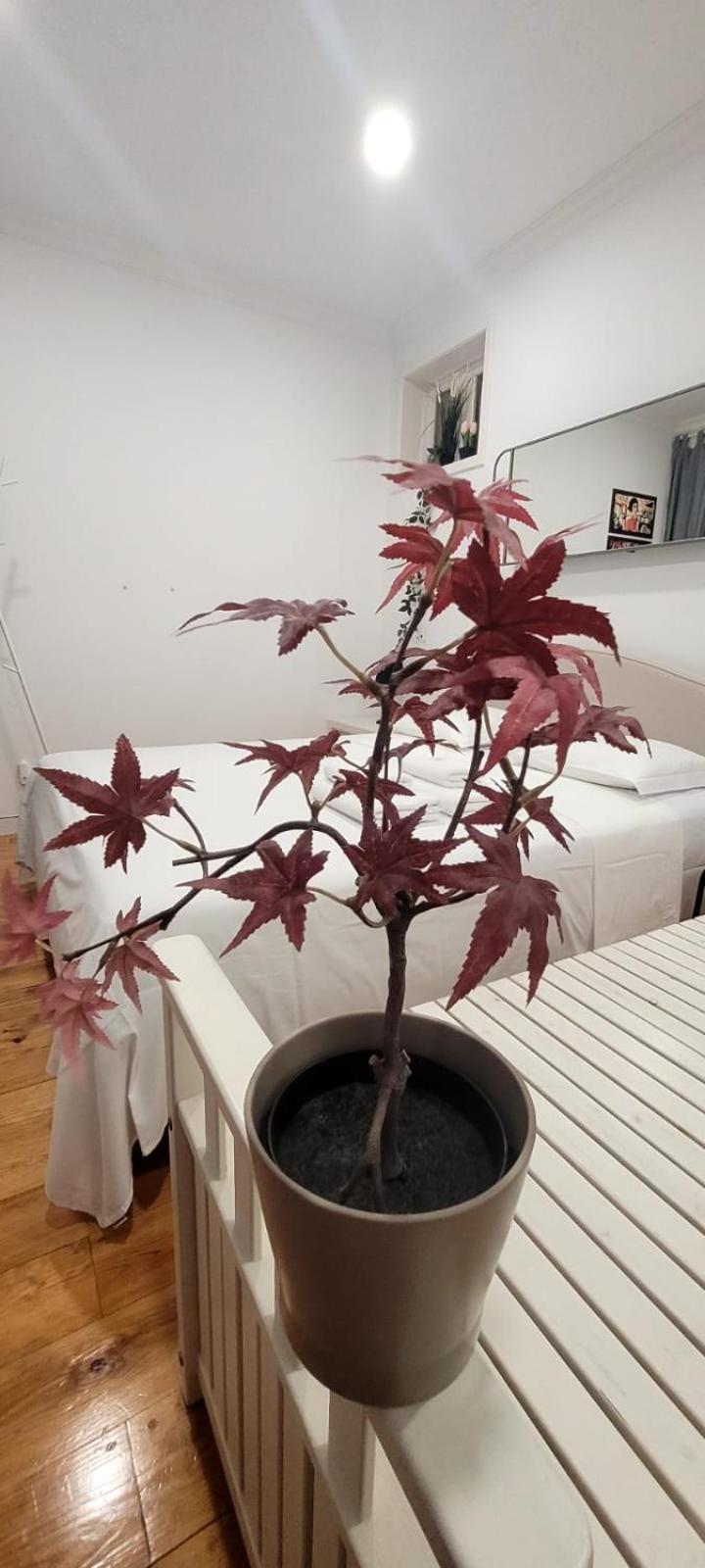 Varanda Privada Iroom Lisbona Esterno foto