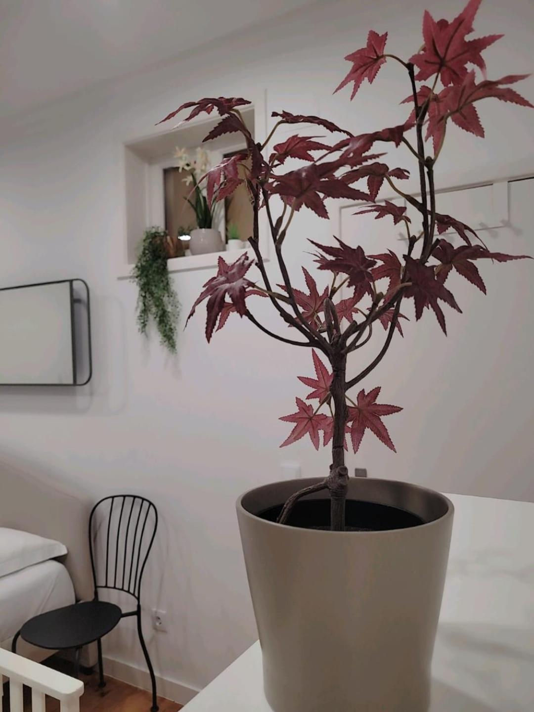 Varanda Privada Iroom Lisbona Esterno foto